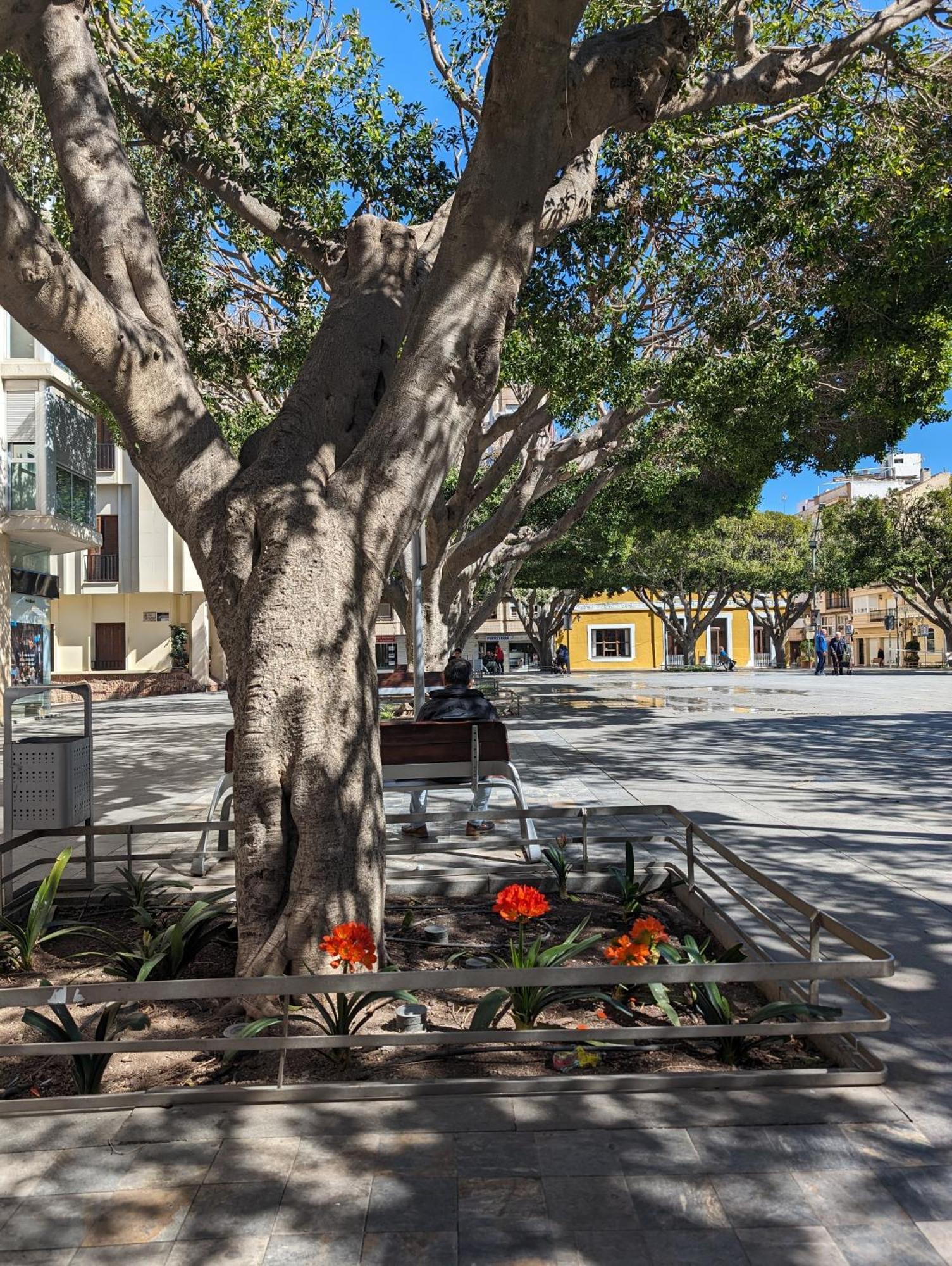 2 Bedroom Algorfa Townhouse With Pool Castillo de Montemar Zewnętrze zdjęcie
